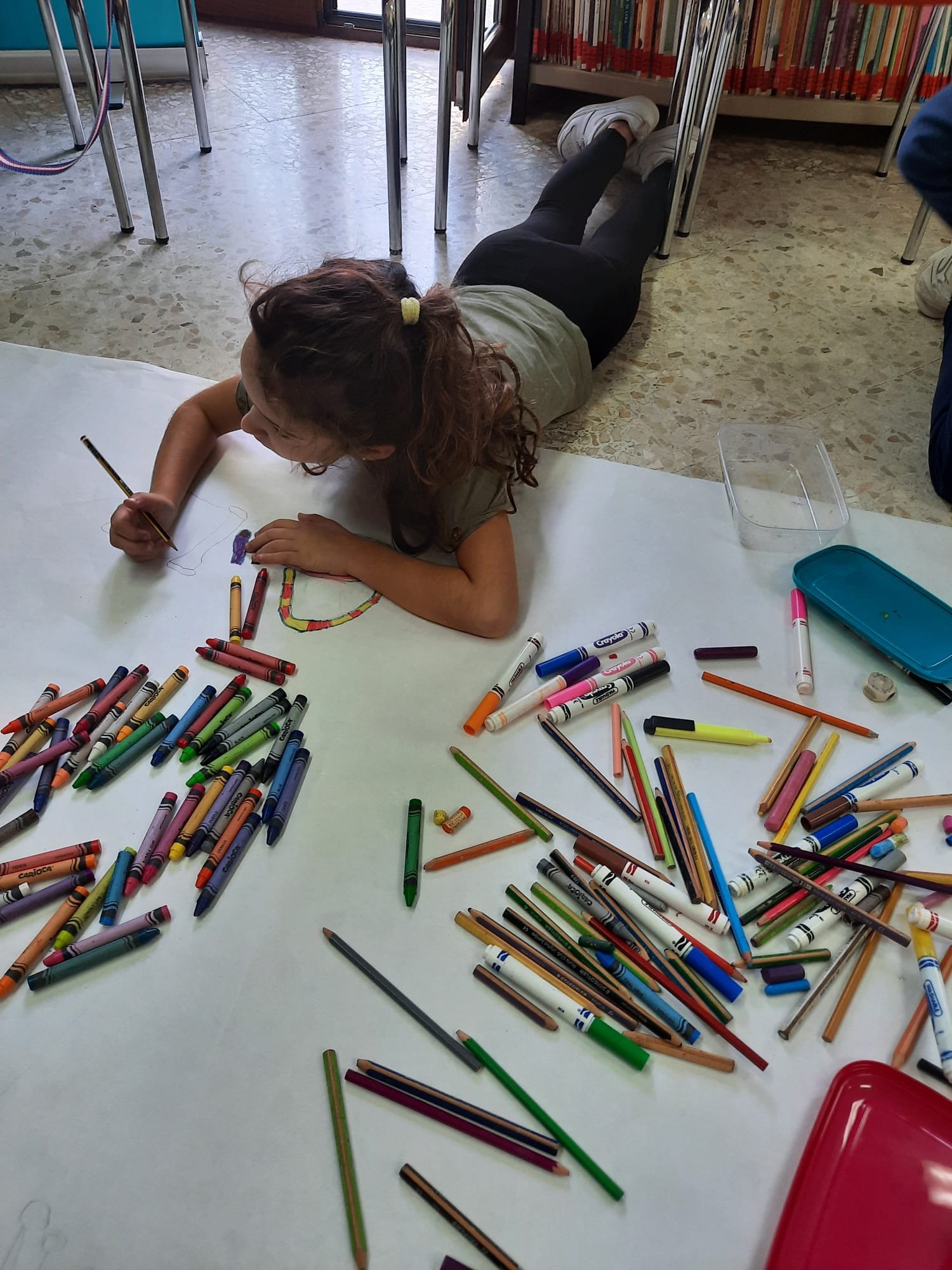 biblioteca-antas-coloreando